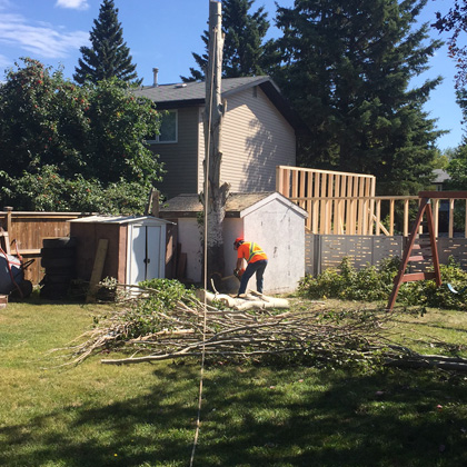 hang loose tree service